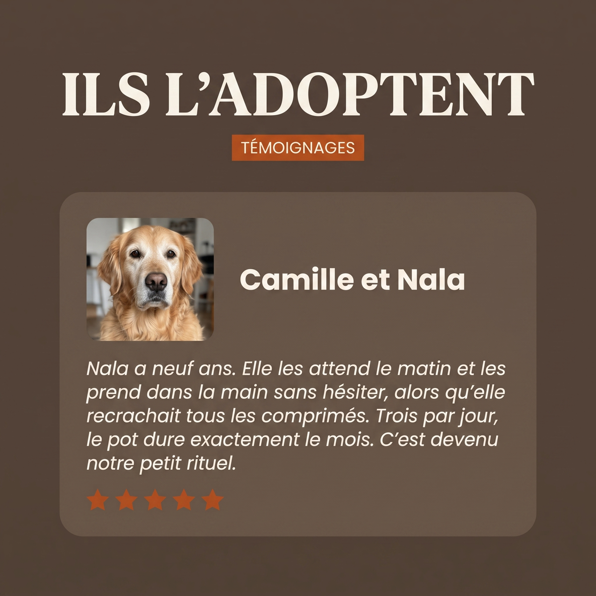 Complément articulations