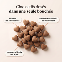 Complément articulations