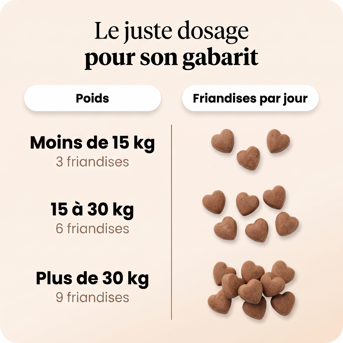 Complément articulations